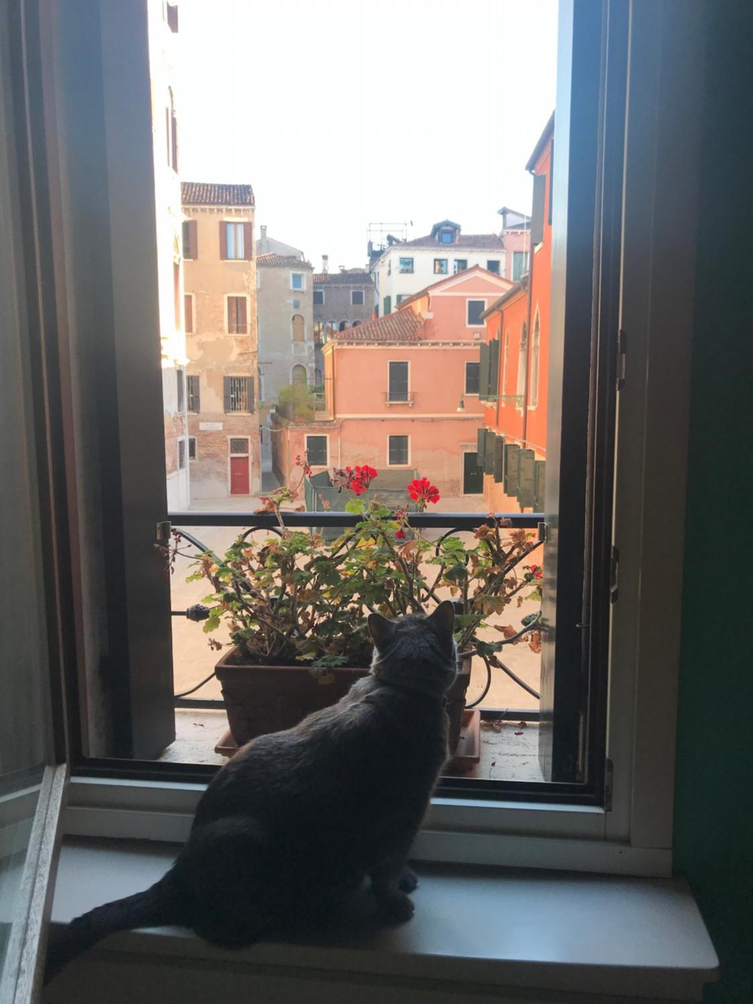 Albrizzi Charme Apartment Venice Exterior photo